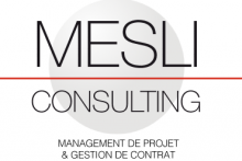 Mesli Consulting