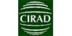 Cirad