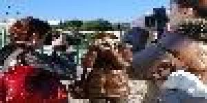 Association Pérégrine