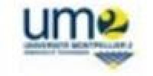 Master Chimie et Physicochimie des Matériaux - Montpellier