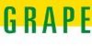 Groupe de Recherche et d'Action pour l'Enfance et l'Adolescence