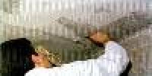 Peintrenaute Formation