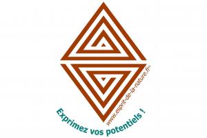 Géobiologie Quantique et Esprits de la Nature