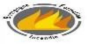 Bourgogne Formation Incendie (Bfi)