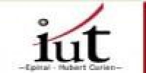 Iut Epinal