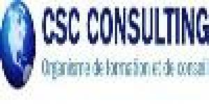 Csc Consulting