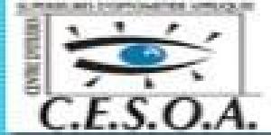 CESOA