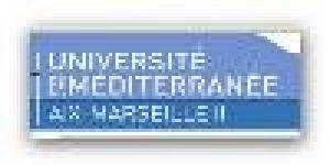 Institut de Mécanique de Marseille