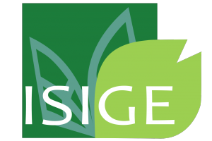 ISIGE - Mines ParisTech