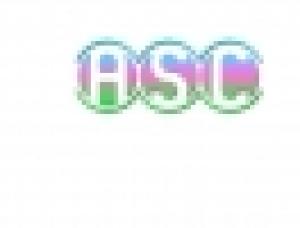 Actif Service Consulting