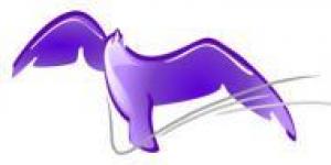 Média Paie &Gestion