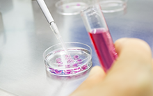 BioHC - BioHealth Computing