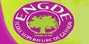 Engde École Supérieure de Gestion