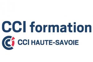 CCI FORMATION