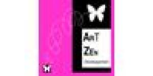 Art Zen Développement