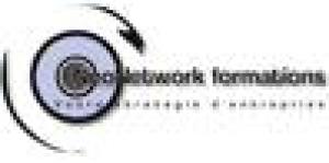 Neonetwork Formations