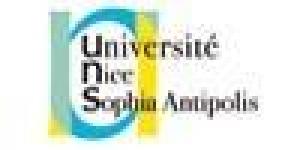 Université Nice Sophia Antipolis