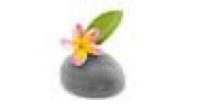 Centre Terre de Bien-Être