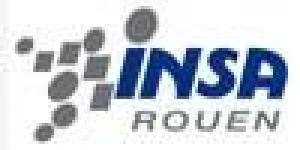Institut National des Sciences Appliquées de Rouen