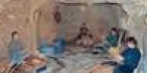 Vannerie Osier Etienne Métézeau Formation Cours Stages