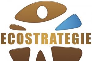 Ecostrategie