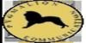 Pygmalion Communication