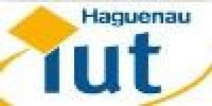 Iut Haguenau
