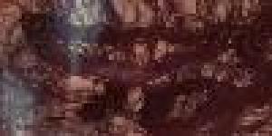 École Supérieure de Beaux-Arts de la Réunion