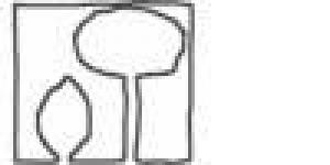 Lemon Tree Education