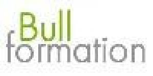 Bull