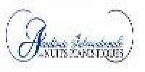 Academie Internationale des Nuits Pianistiques