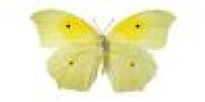 Cours Académiques de France