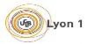 Iut B. Univ. Lyon