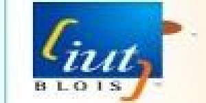 Iut Blois