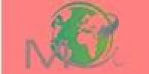 Master Marketing Opérationnel International