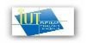 UReims - IUT Léonard de Vinci