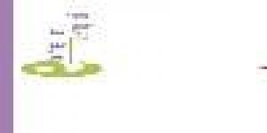 E Formation et Emploi