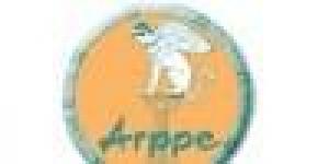 Arppe
