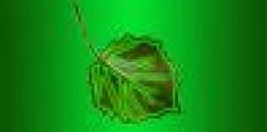 Chlorophylle