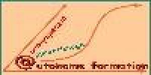 Autonome Formation