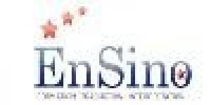 Ensino