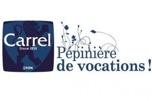 Institut Carrel