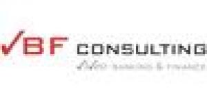 Vbf Consulting