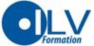 Ilv Formation