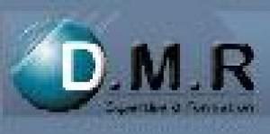 Dmr Expertise et Formation