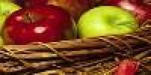 Formation Nutritionnelle