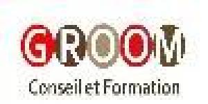 GROOM Conseil et Formation