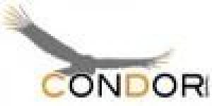 Condor