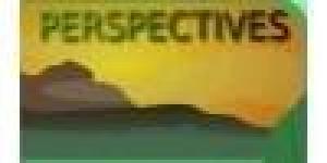 Perspectives Conseils