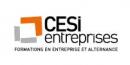 Cesi Entreprises